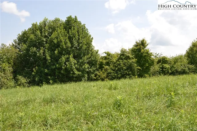 $115,000 | Lot #16 Twin Oaks Mountain Boulevard, Sparta, NC 28675