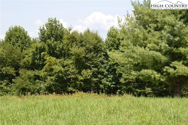 $115,000 | Lot #16 Twin Oaks Mountain Boulevard, Sparta, NC 28675