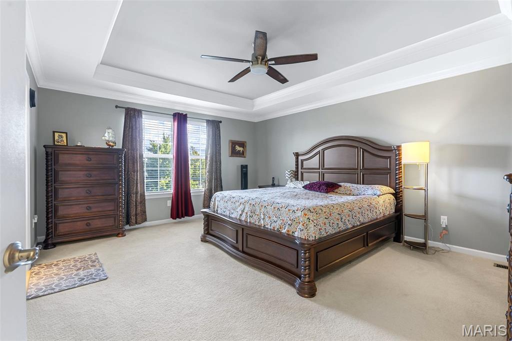 718 Savannah Crossing Way Chesterfield, MO 63017 - Photo 20 of 34