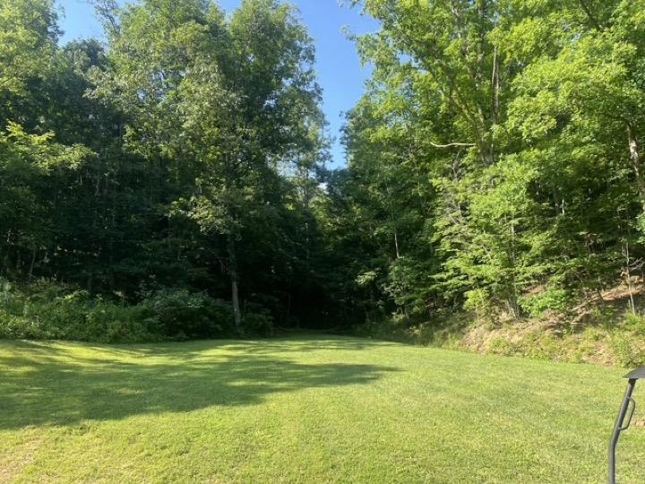 2700 Smith Branch Road Grayson, KY 41143 - Photo 26 of 31