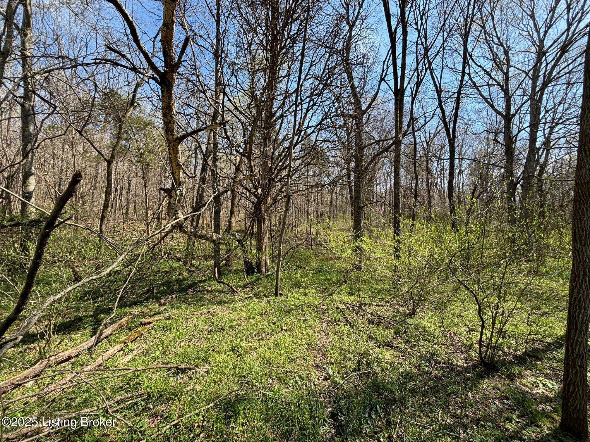 523 Roach Road Webster, KY 40176 - Photo 11 of 22 IMG_2602 (1)