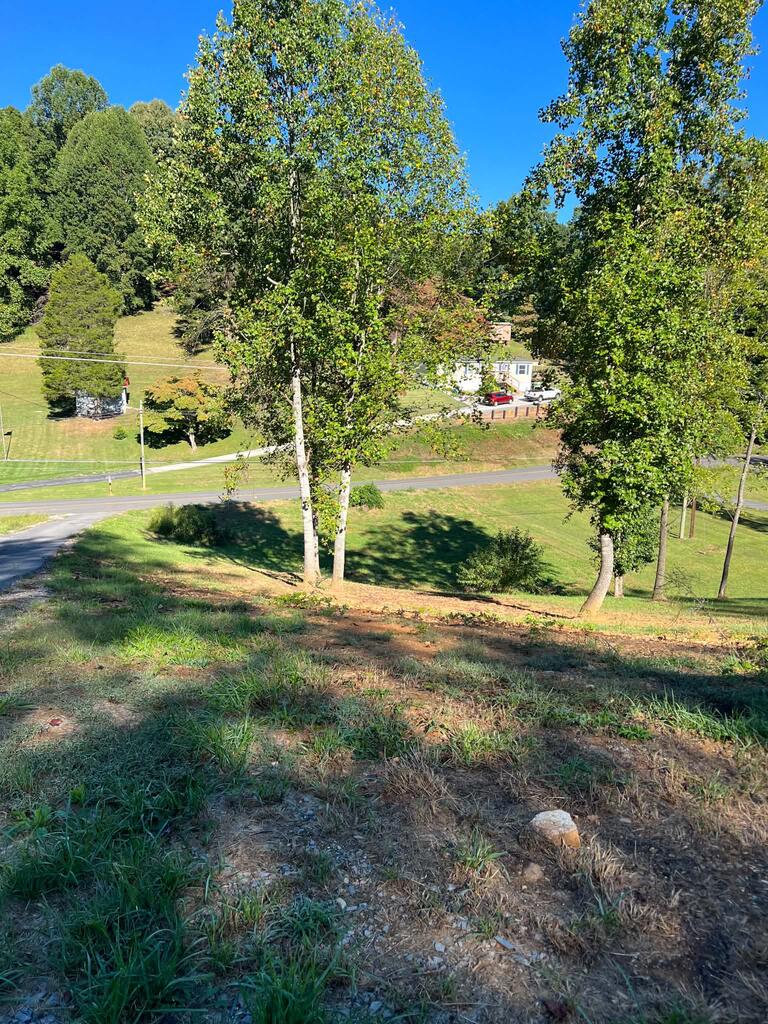 8464 Reedy Creek Road Bristol, VA 24202 - Photo 9 of 10 Gallery Image 9