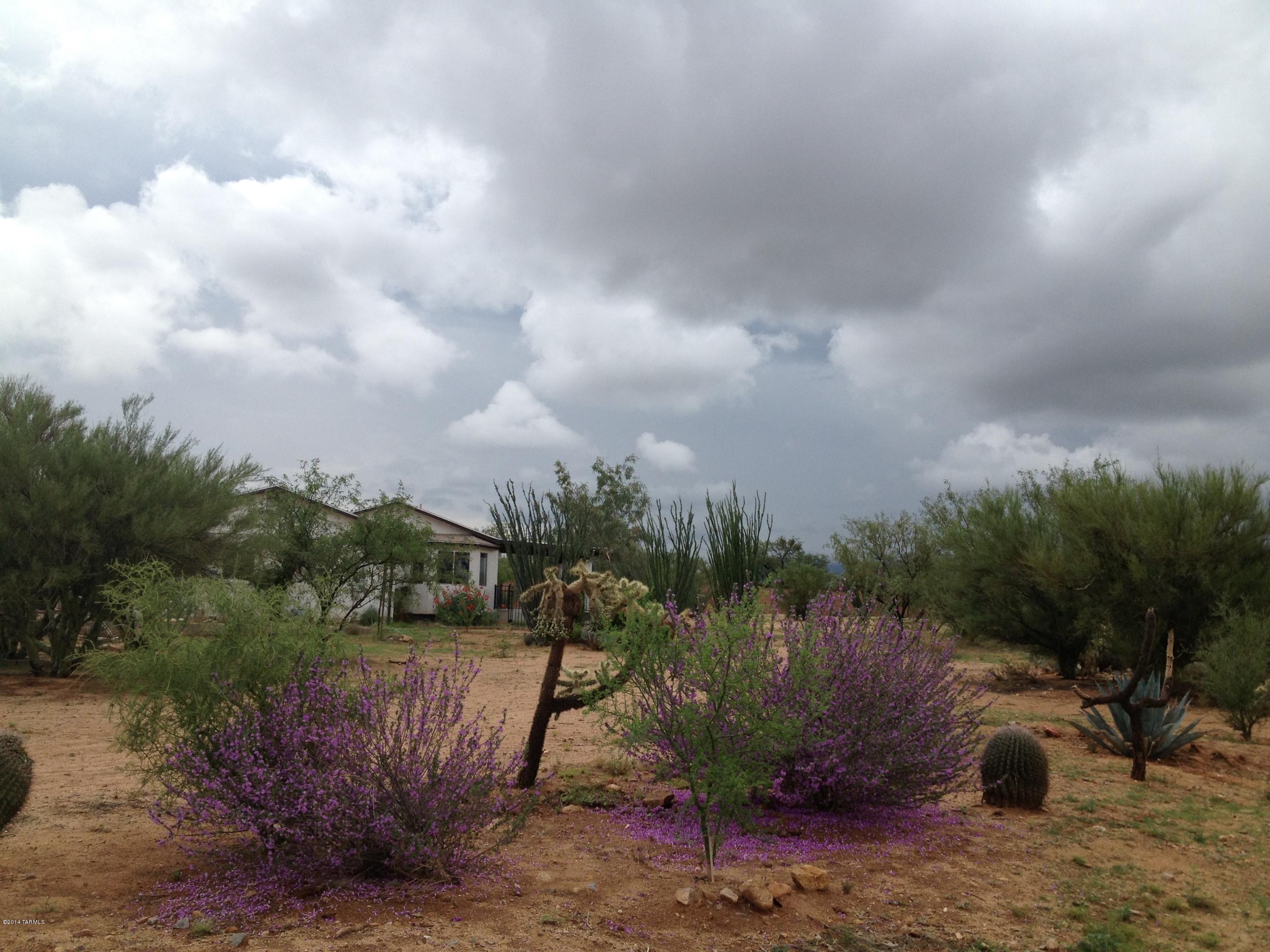 15893 West Lynnette Road Tucson, AZ 85736 - Photo 43 of 50 Gallery Image 43
