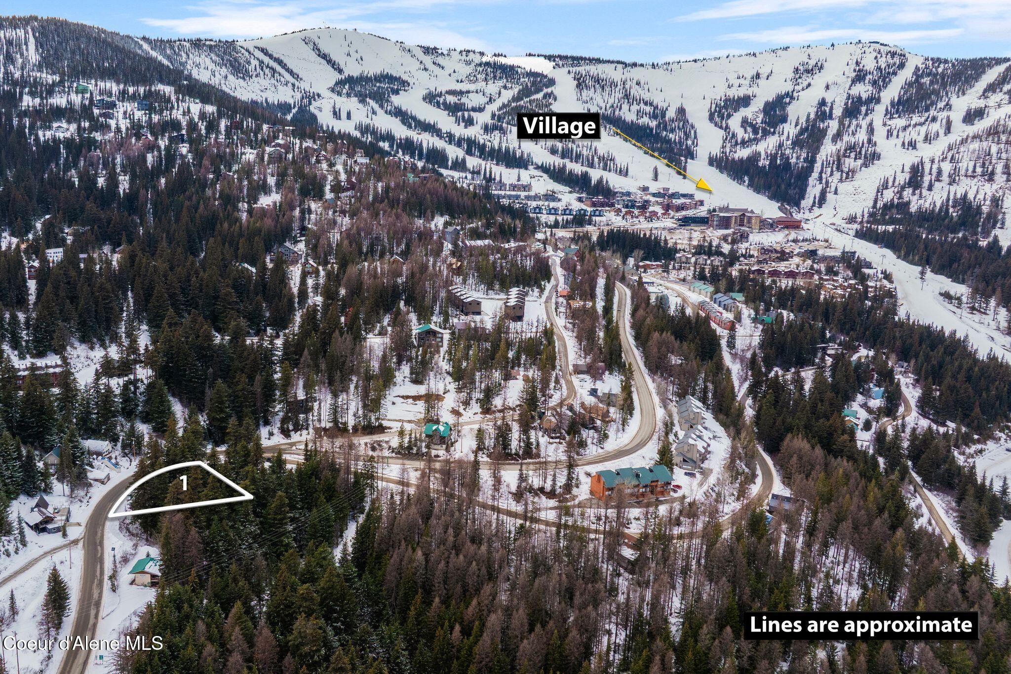 Schweitzer Mountain Road Sandpoint, ID 83864 - Photo 3 of 17 5_DJI_20260213081957_0389_D copy1
