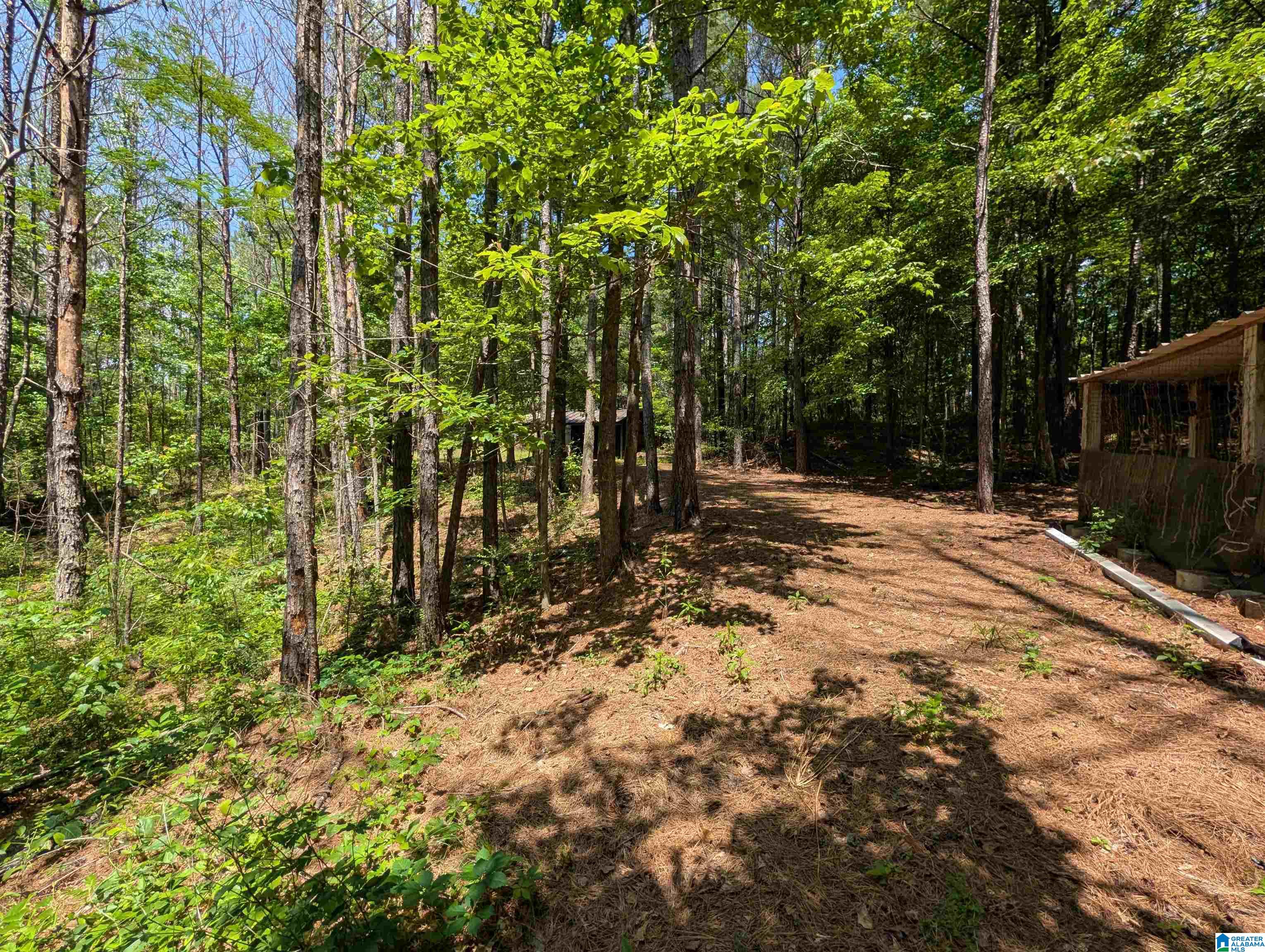 4561 Cook Springs Road Pell City, AL 35125 - Photo 17 of 20