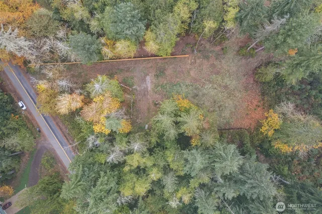 a view of a tree with a yard