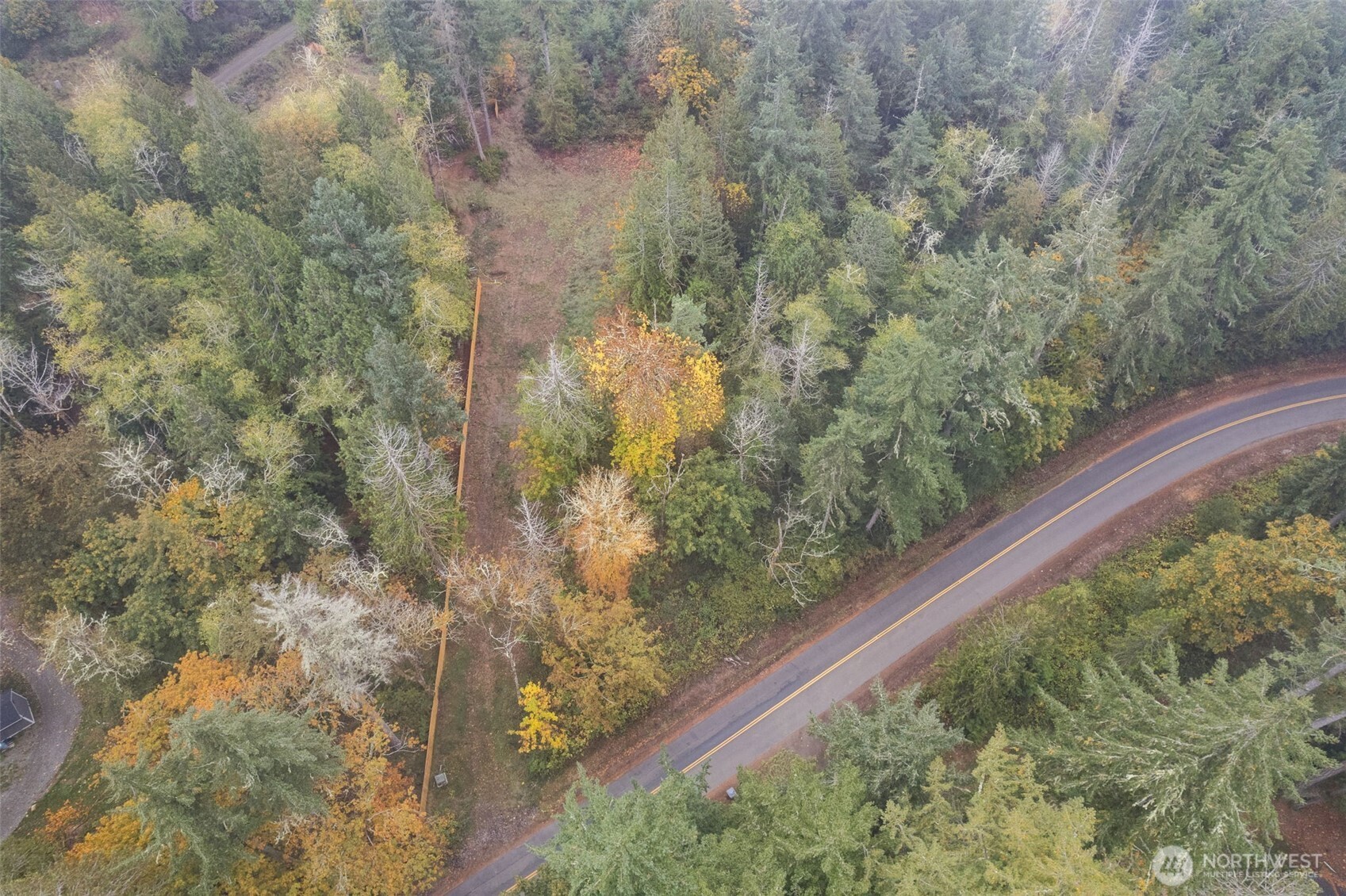 16456 Hoff Road Northwest Lakebay, WA 98349 - Photo 2 of 15 a view of a yard with large trees
