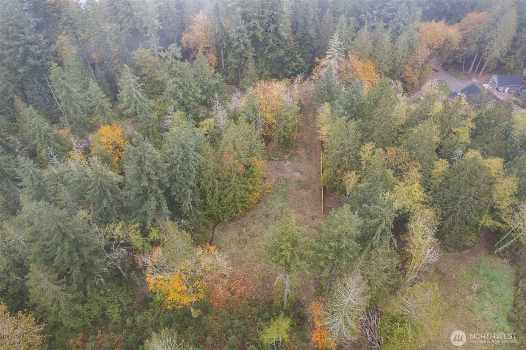 16456 Hoff Road Northwest Lakebay, WA 98349 - Photo 3 of 15 a view of a forest
