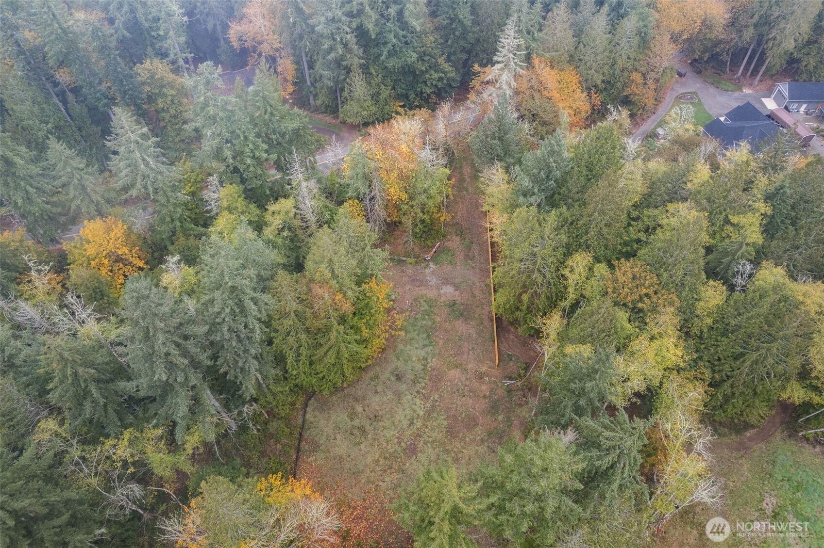 16456 Hoff Road Northwest Lakebay, WA 98349 - Photo 4 of 15 a view of a forest