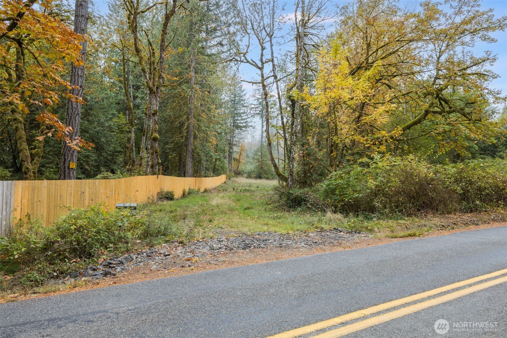 16456 Hoff Road Northwest Lakebay, WA 98349 - Photo 5 of 15 a view of backyard space