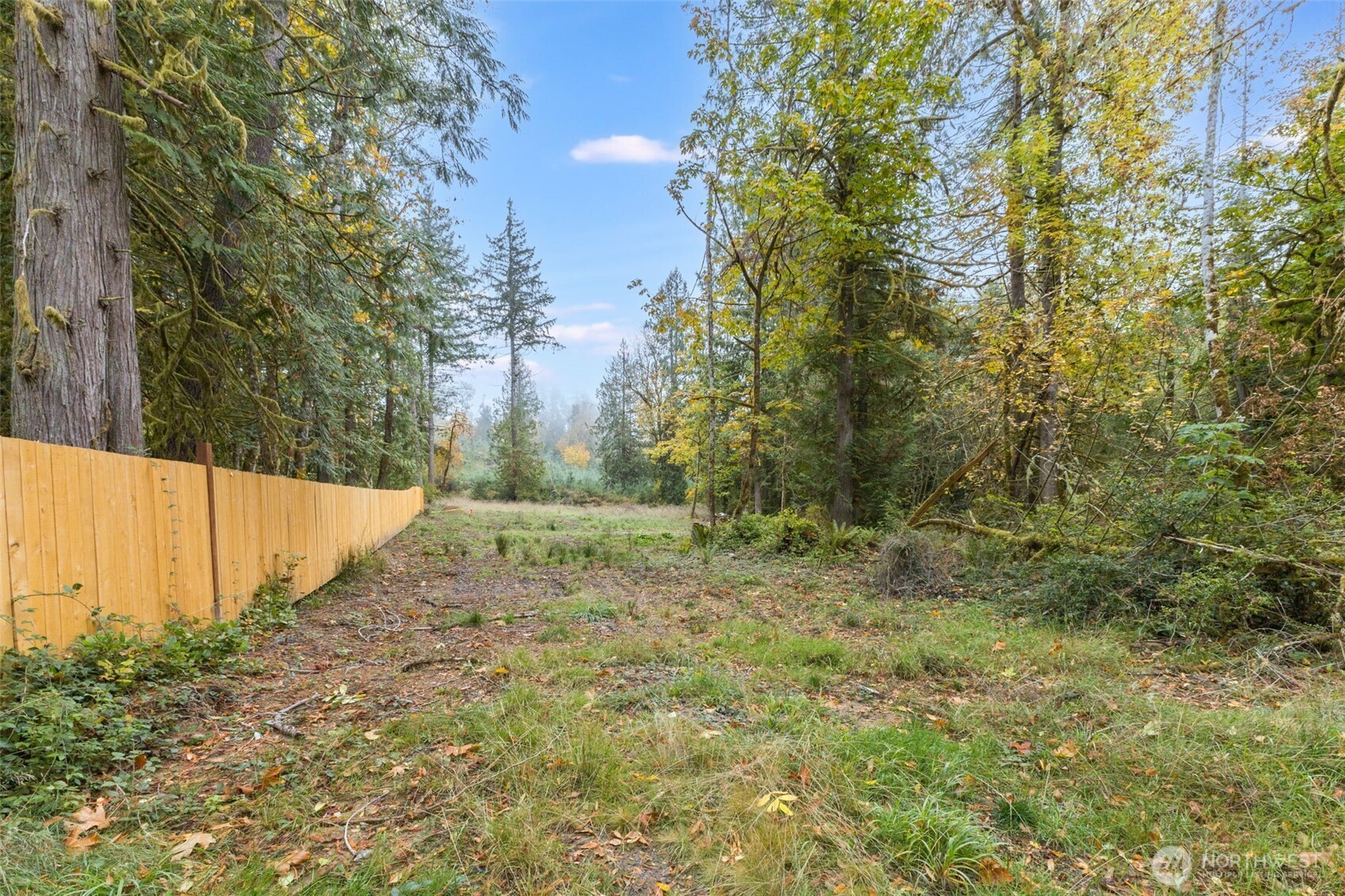 16456 Hoff Road Northwest Lakebay, WA 98349 - Photo 6 of 15 a view of a yard with large trees