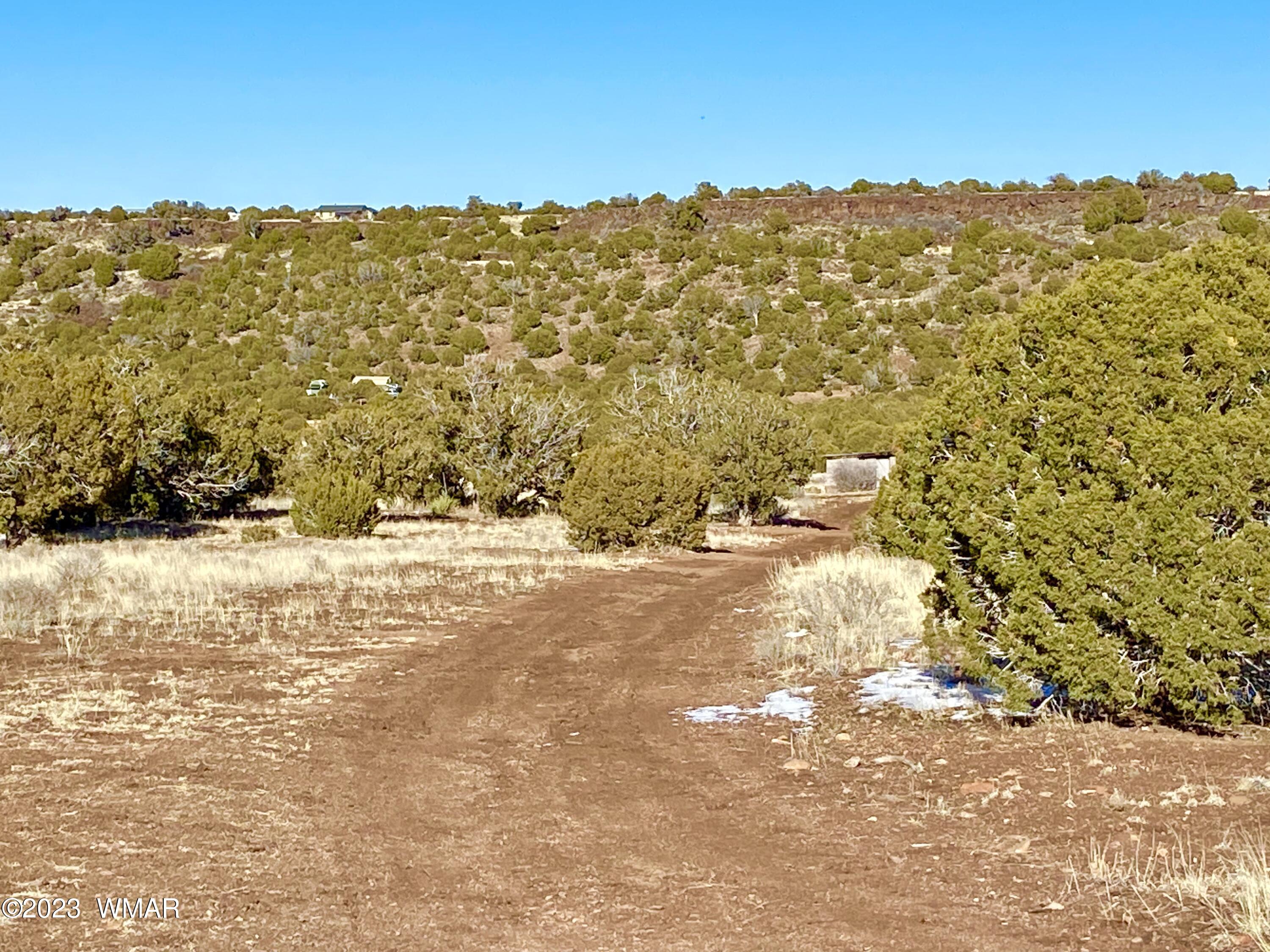 9996 Buffalo Ridge Lane Snowflake, AZ 85937 - Photo 31 of 73