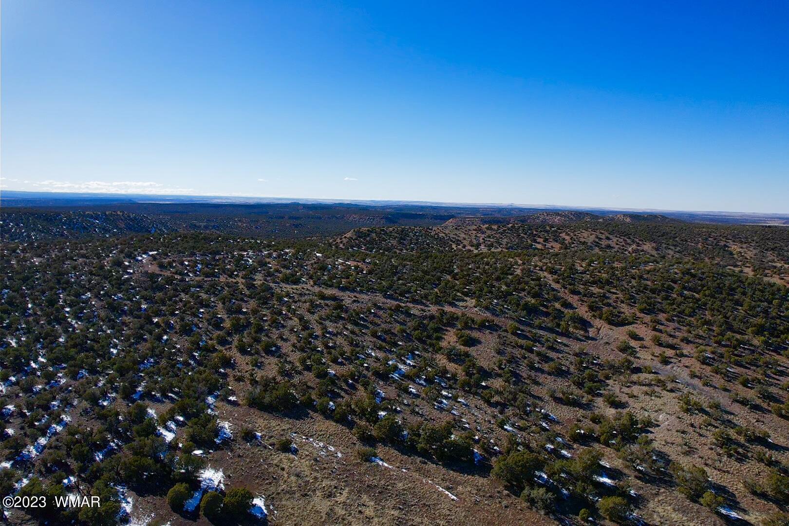 9996 Buffalo Ridge Lane Snowflake, AZ 85937 - Photo 41 of 73