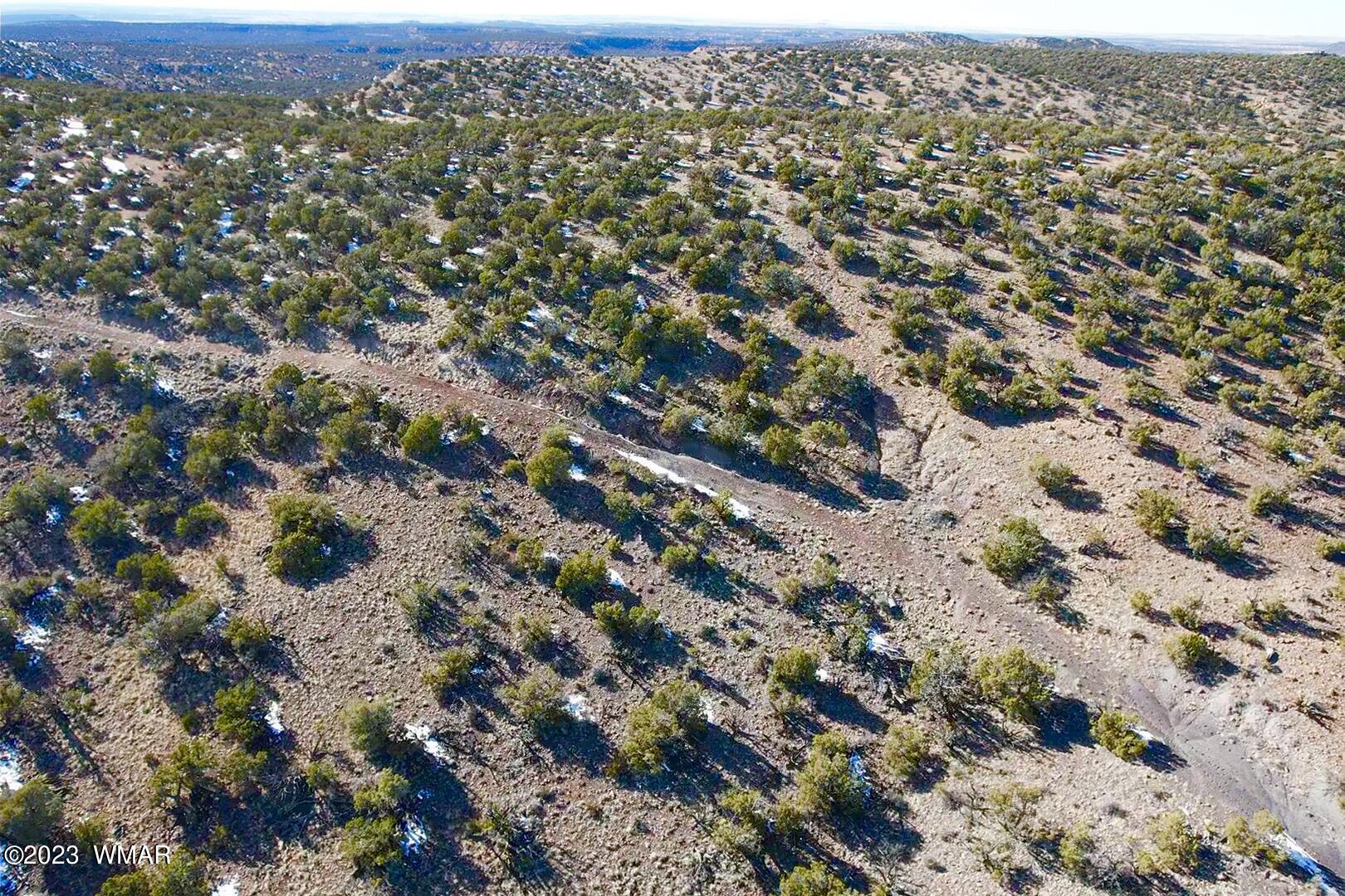 9996 Buffalo Ridge Lane Snowflake, AZ 85937 - Photo 43 of 73