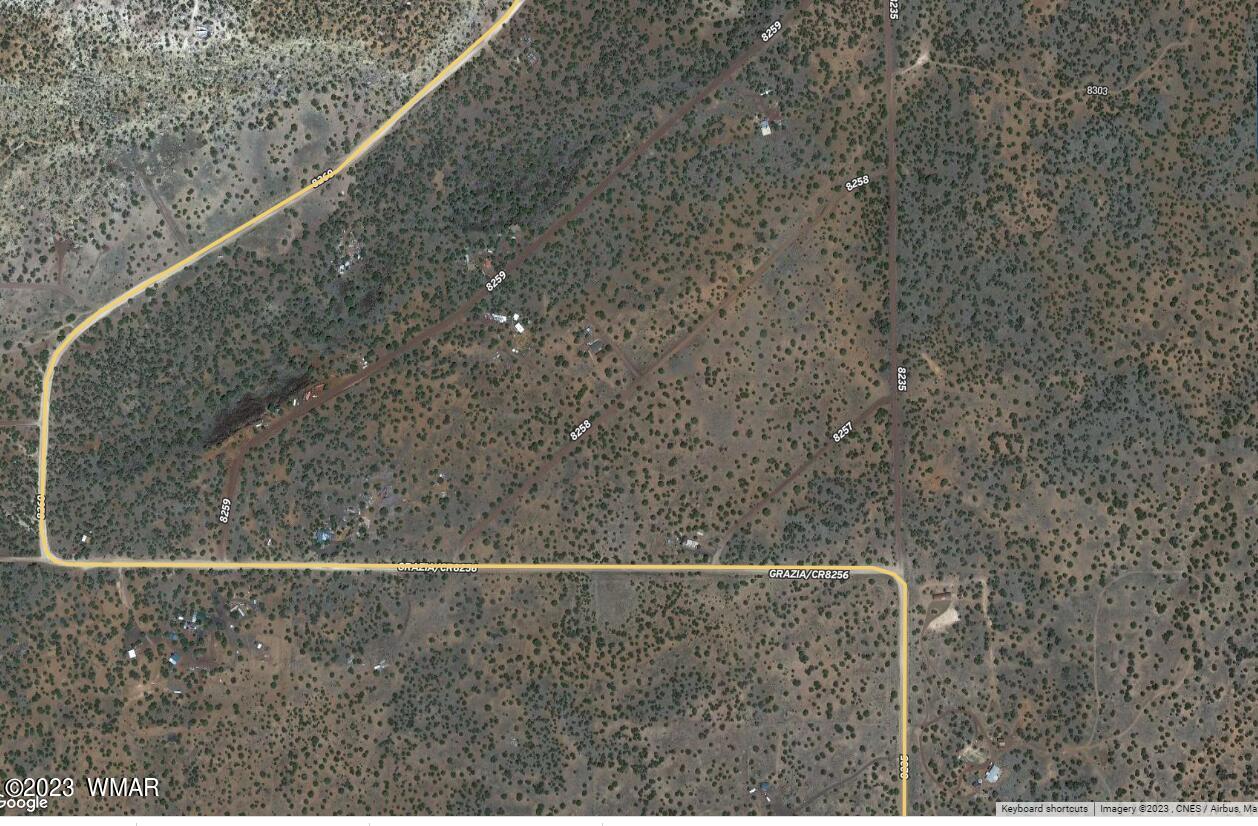 9996 Buffalo Ridge Lane Snowflake, AZ 85937 - Photo 68 of 73