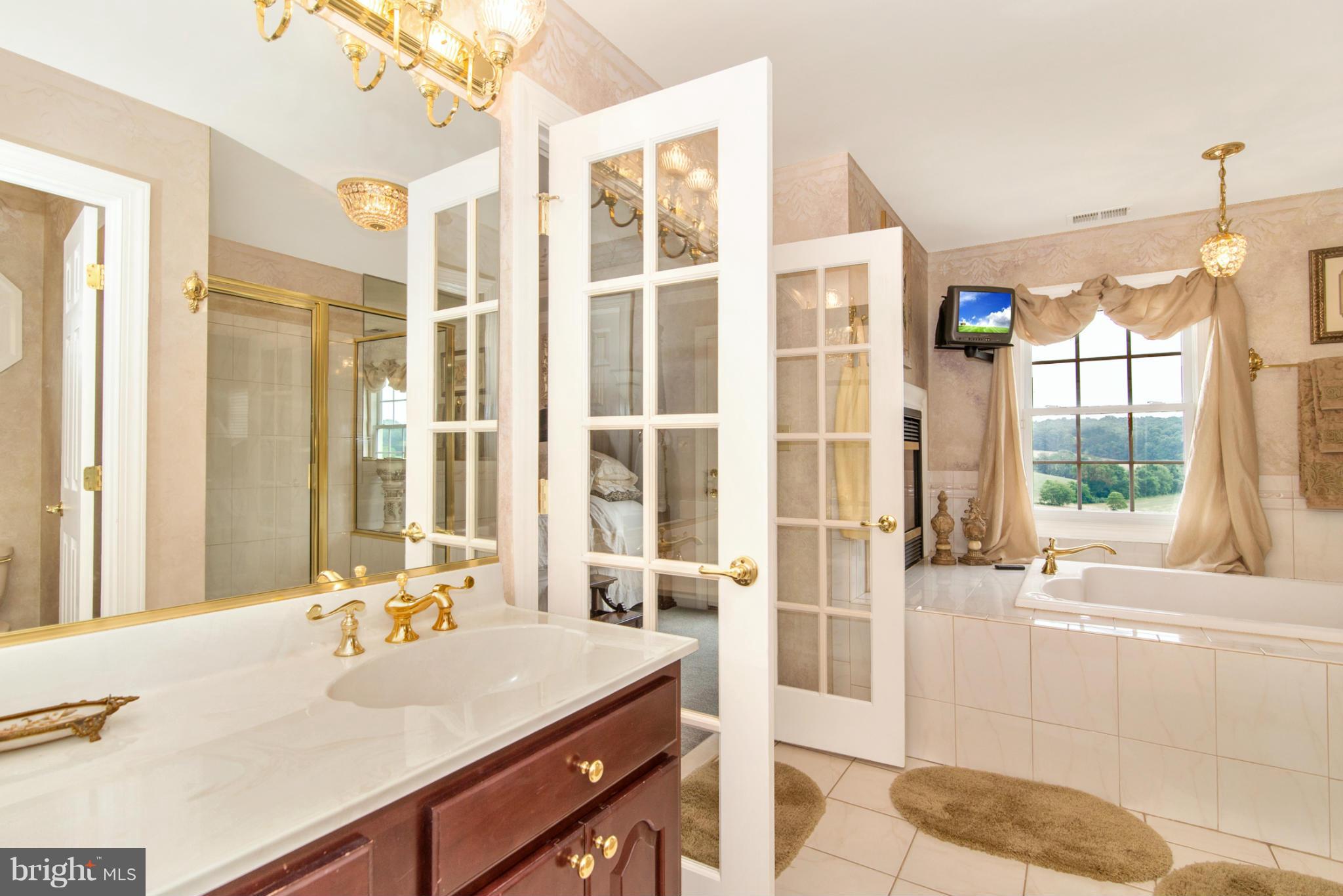 12485 Jesse Smith Road Mount Airy, MD 21771 - Photo 22 of 30 Bath (Master)