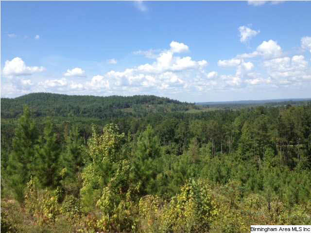 Selma Road, Unit 34ACRES Centreville, AL 35042 - Photo 10 of 15 Gallery Image 10