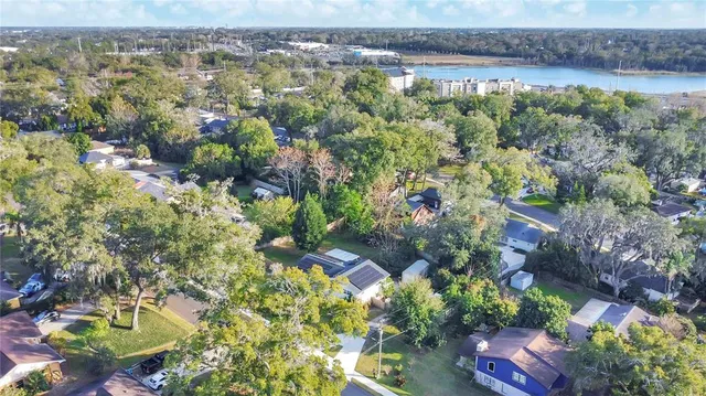 a view of a garden with flowers