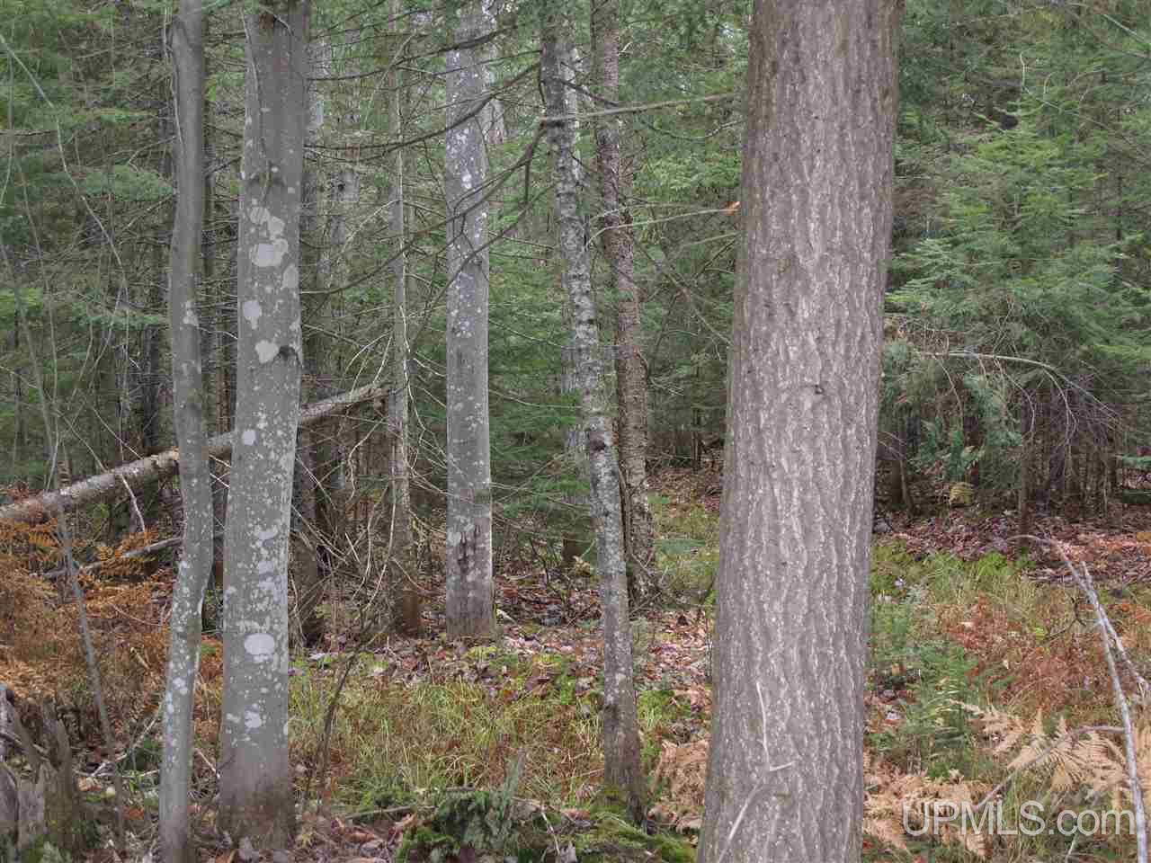22405 Webb Road Grand Marais, MI 49839 - Photo 13 of 32 Gallery Image 13