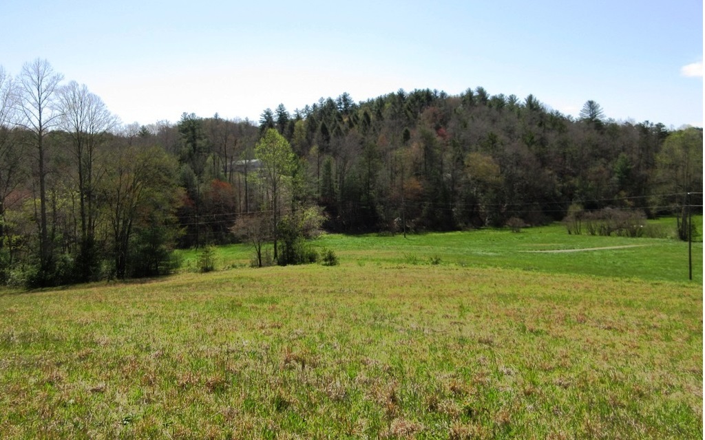 276 Locke Road Copperhill, TN 37317 - Photo 1 of 1 Main View