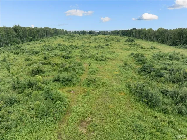 $500,000 | 0 Route 31 Canastota Ny 13032, Canastota, NY 13032