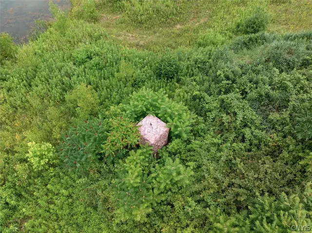 $500,000 | 0 Route 31 Canastota Ny 13032, Canastota, NY 13032