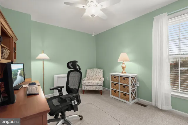 a view of a park with large trees