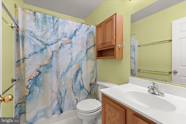 a view of a park with large trees