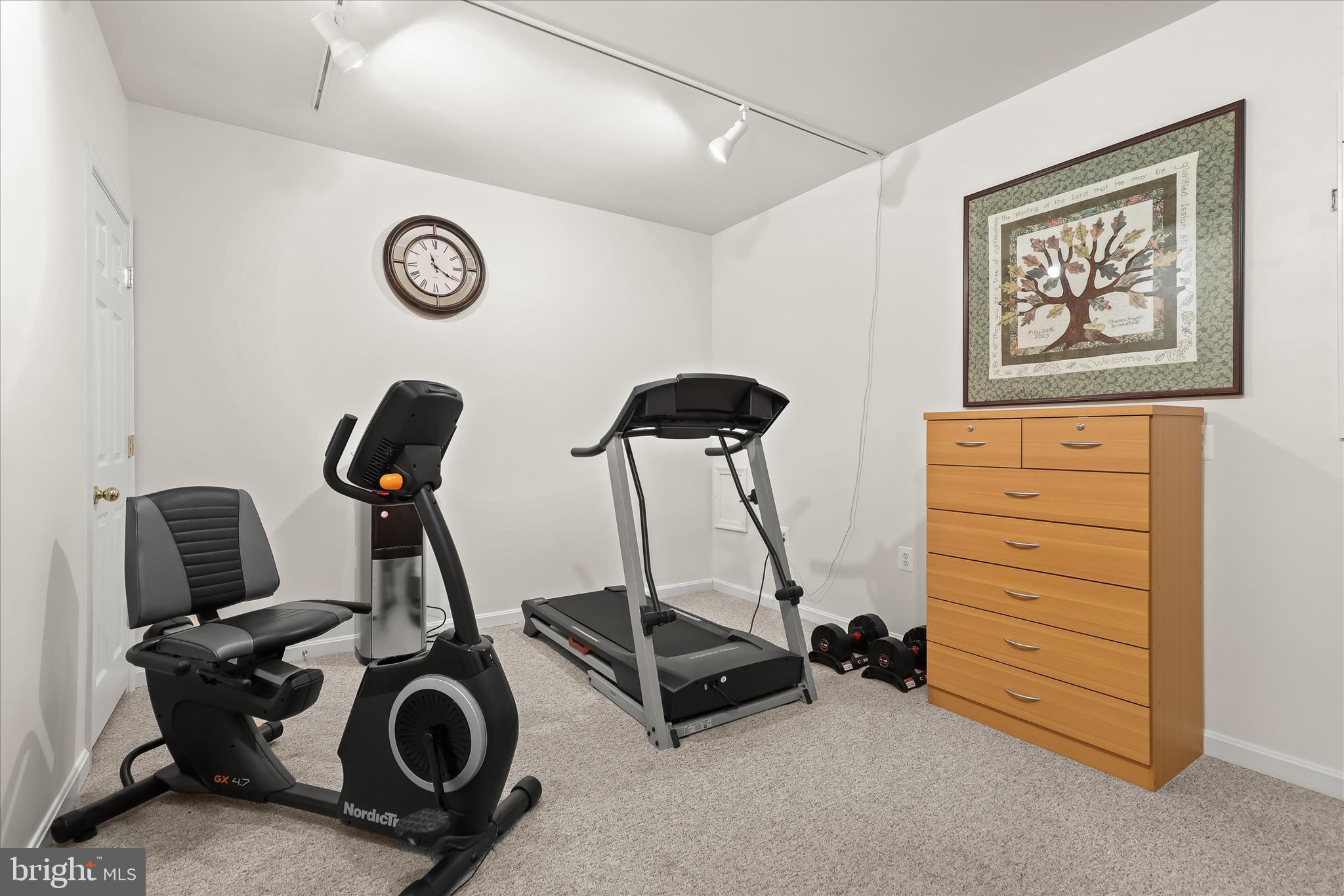 6463 Tydings Road Sykesville, MD 21784 - Photo 41 of 104 a view of a room with gym equipment