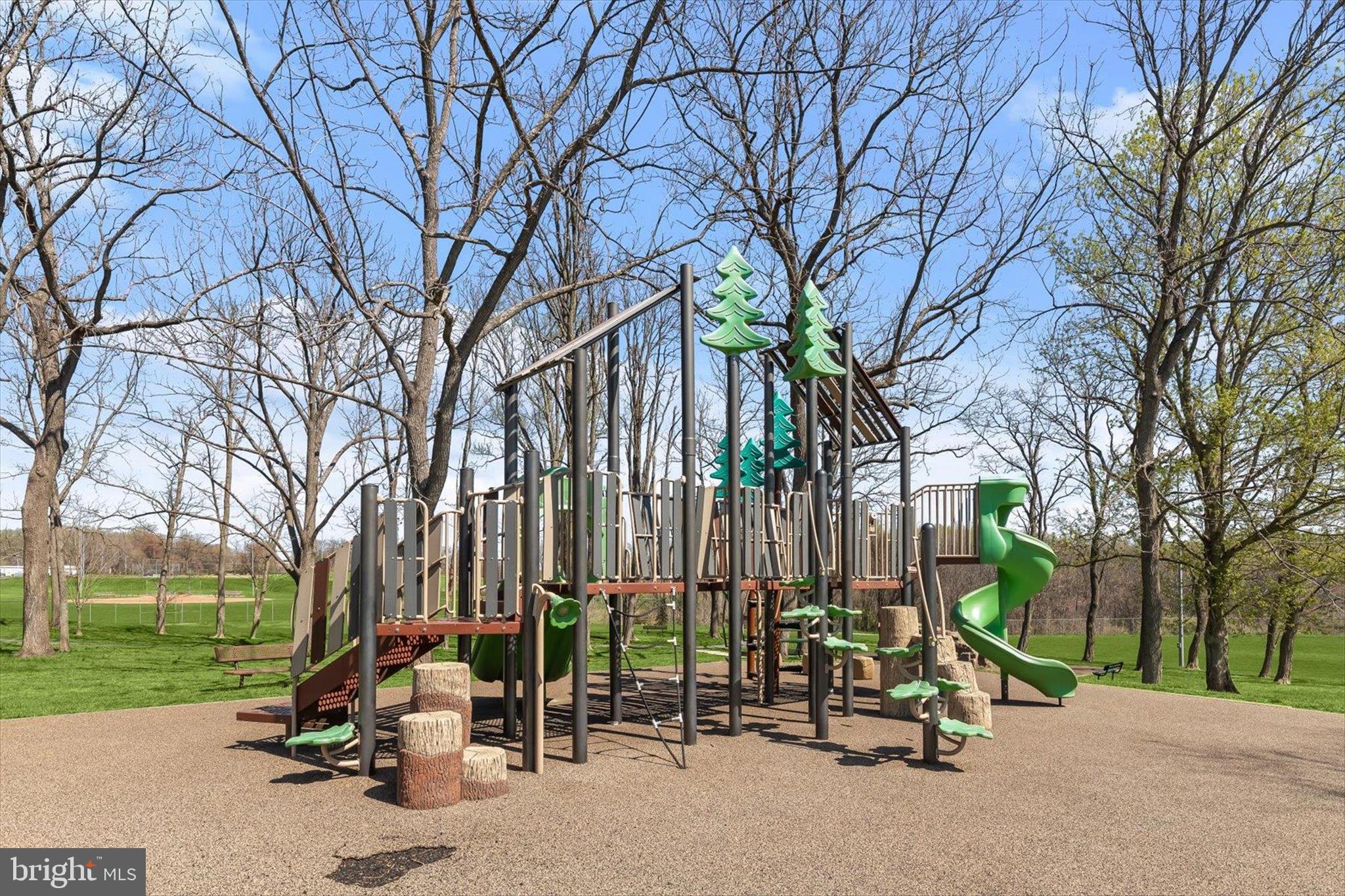 6463 Tydings Road Sykesville, MD 21784 - Photo 56 of 104 a view of a park with large trees