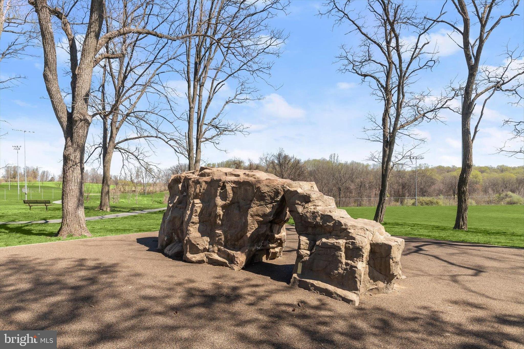 6463 Tydings Road Sykesville, MD 21784 - Photo 58 of 104 a view of a park with large trees