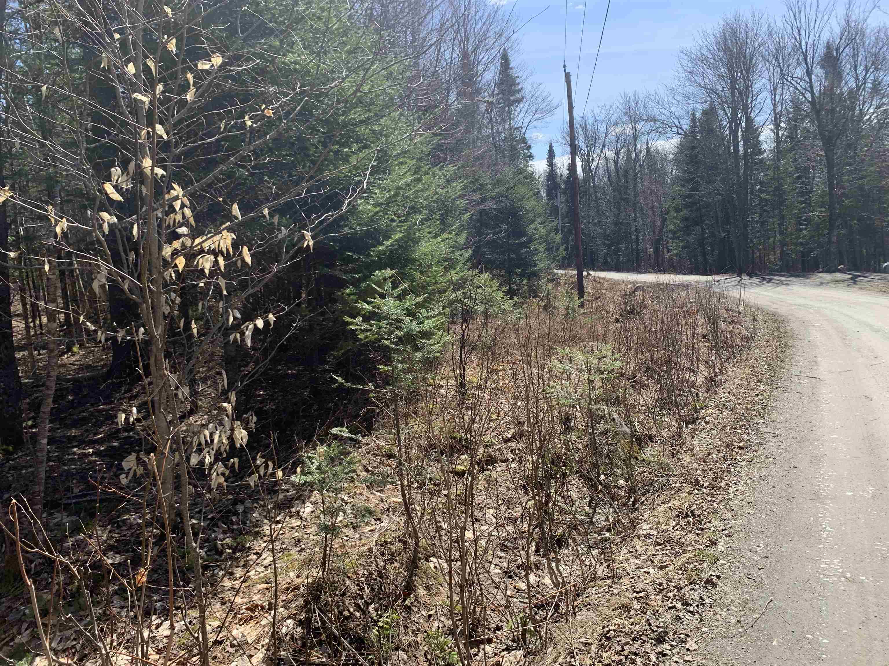 25 Blanchard Road Pittsburg, NH 03592 - Photo 2 of 8