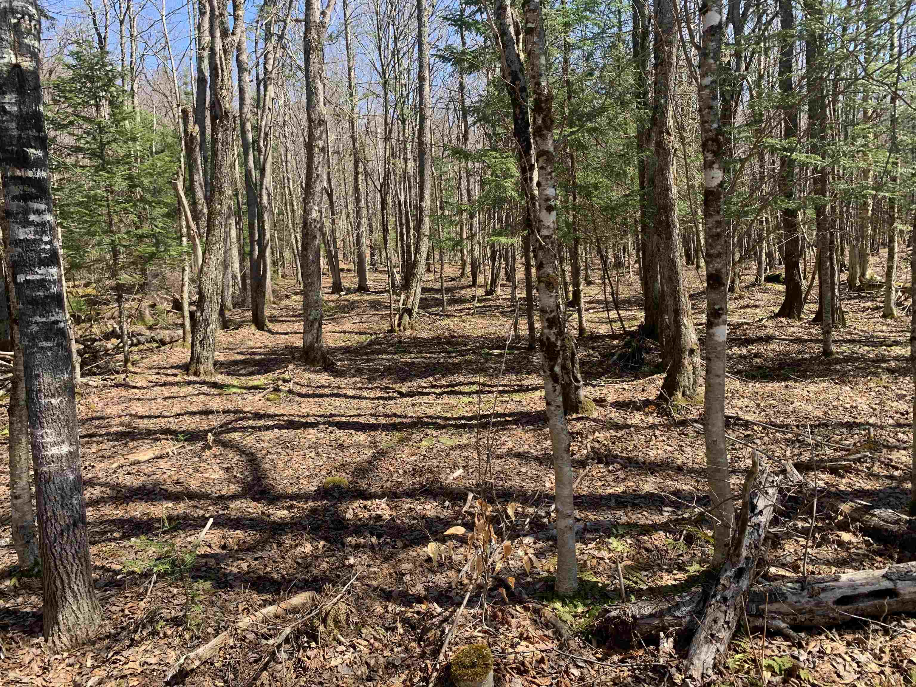 25 Blanchard Road Pittsburg, NH 03592 - Photo 5 of 8