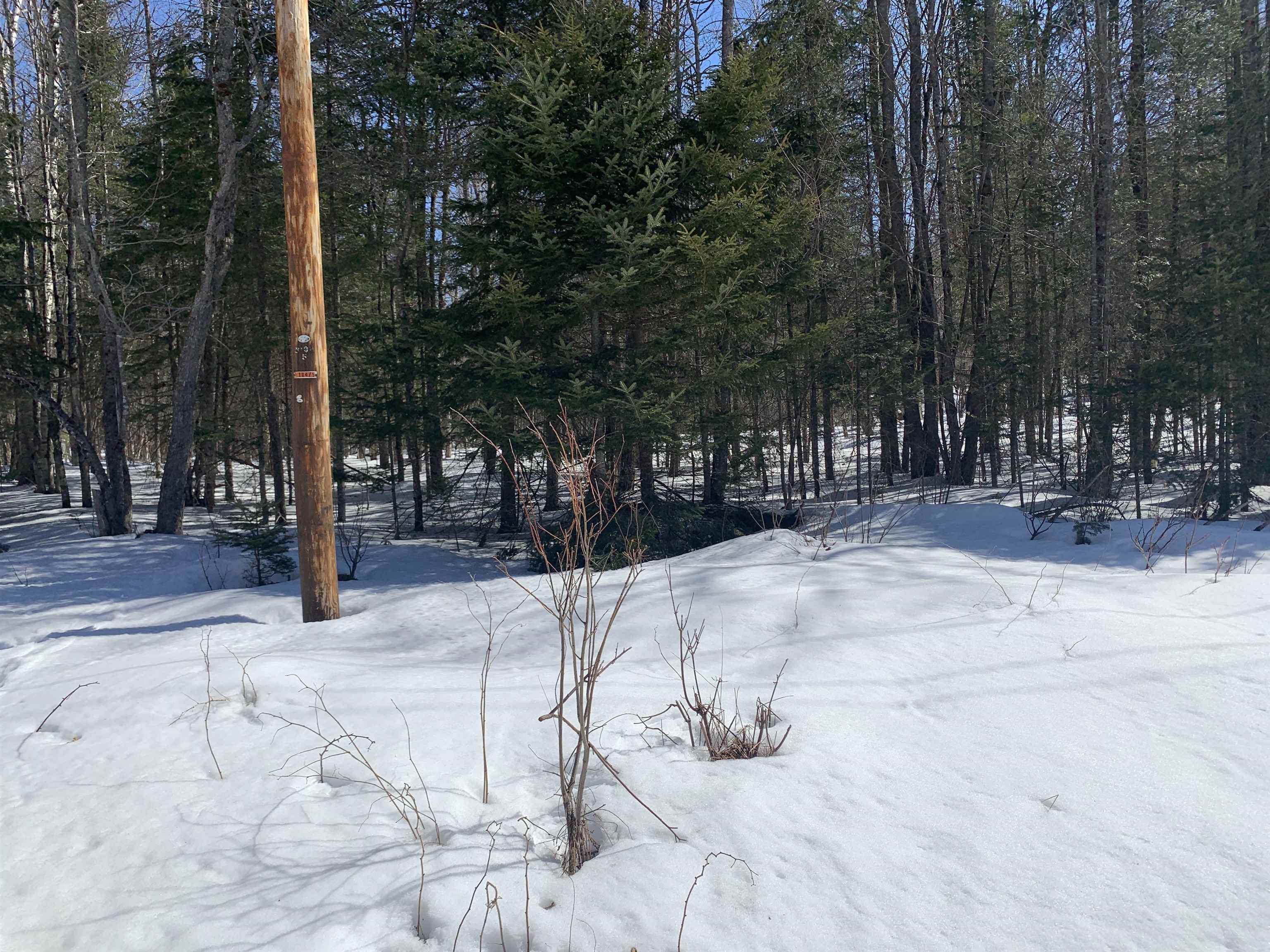 25 Blanchard Road Pittsburg, NH 03592 - Photo 8 of 8