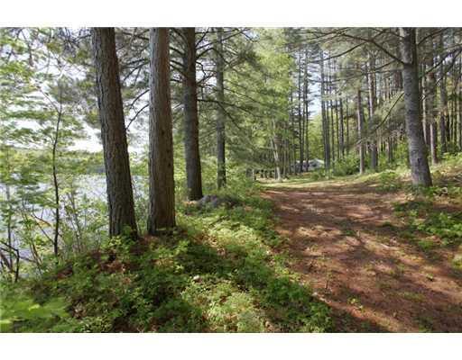 589 Mountain Road Denmark, ME 04022 - Photo 6 of 25 Land/Lot.