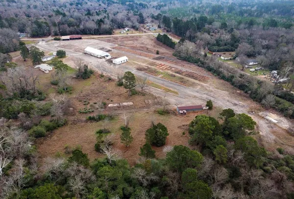 a view of a dry yard with trees