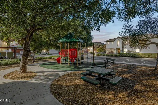 a view of a park with large trees