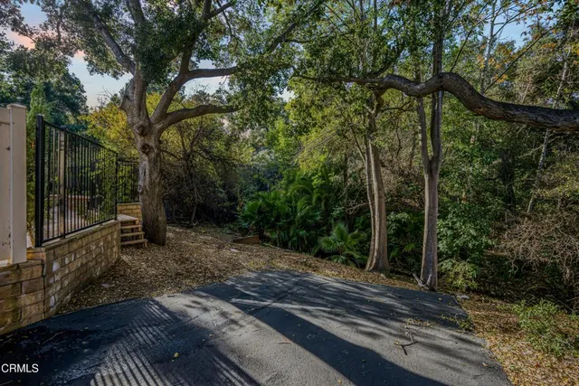 a view of a backyard