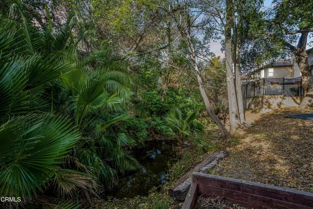 a view of outdoor space and trees