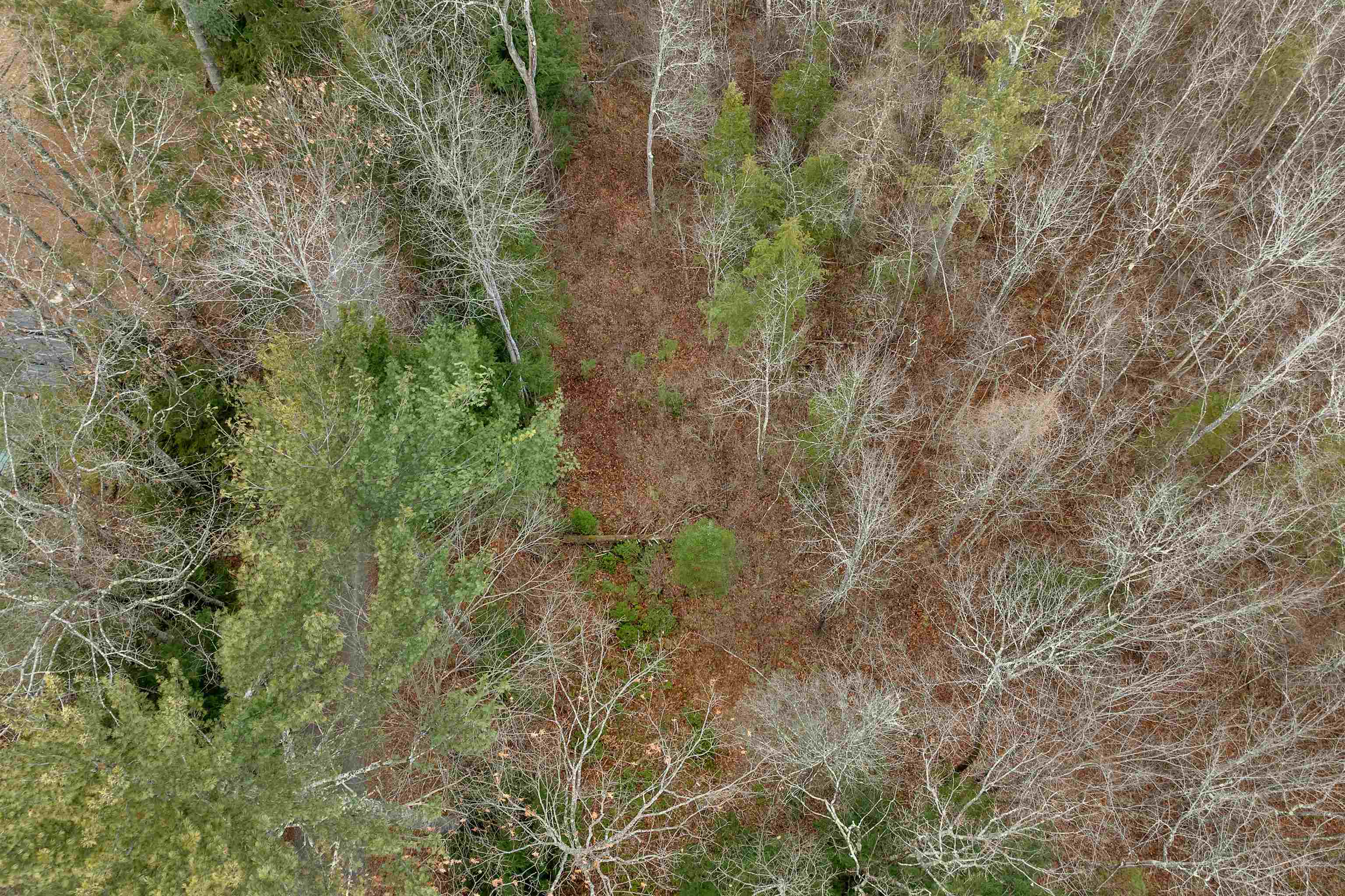 25 Merrill Corner Road Boscawen, NH 03303 - Photo 16 of 21