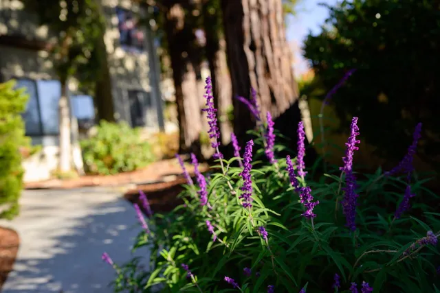 $649,000 | 111 Bean Creek Road, Unit 156, Scotts Valley, CA 95066