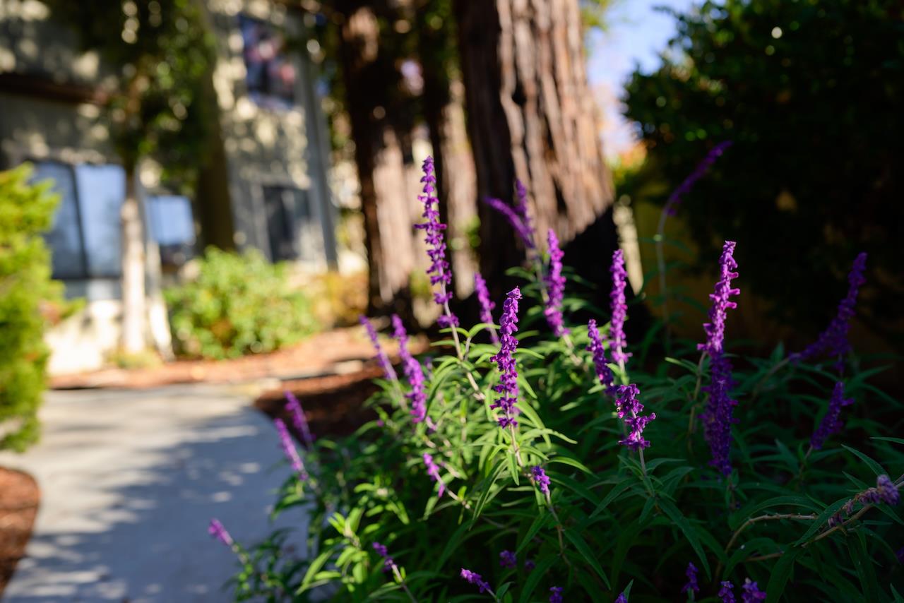 111 Bean Creek Road, Unit 156 Scotts Valley, CA 95066 - Photo 62 of 76