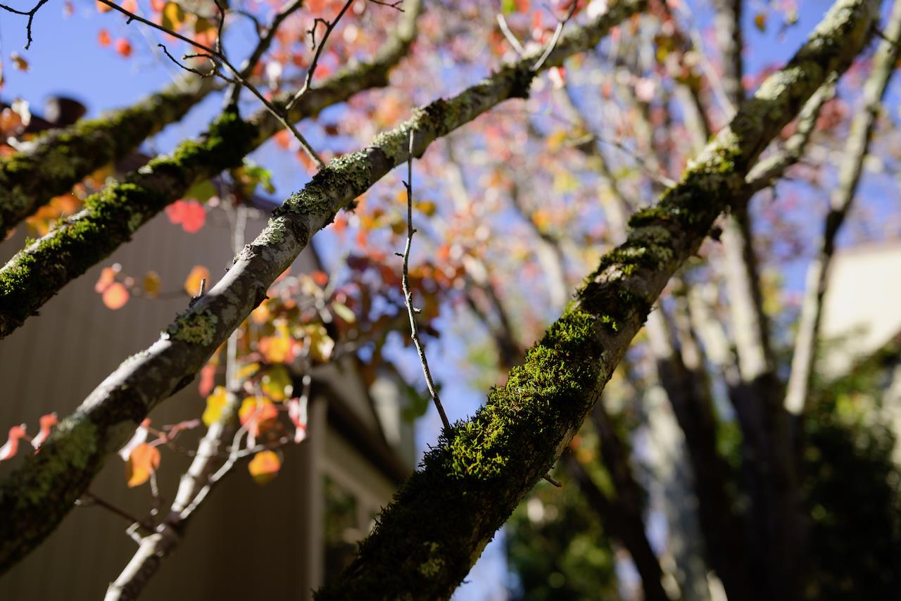 111 Bean Creek Road, Unit 156 Scotts Valley, CA 95066 - Photo 63 of 76