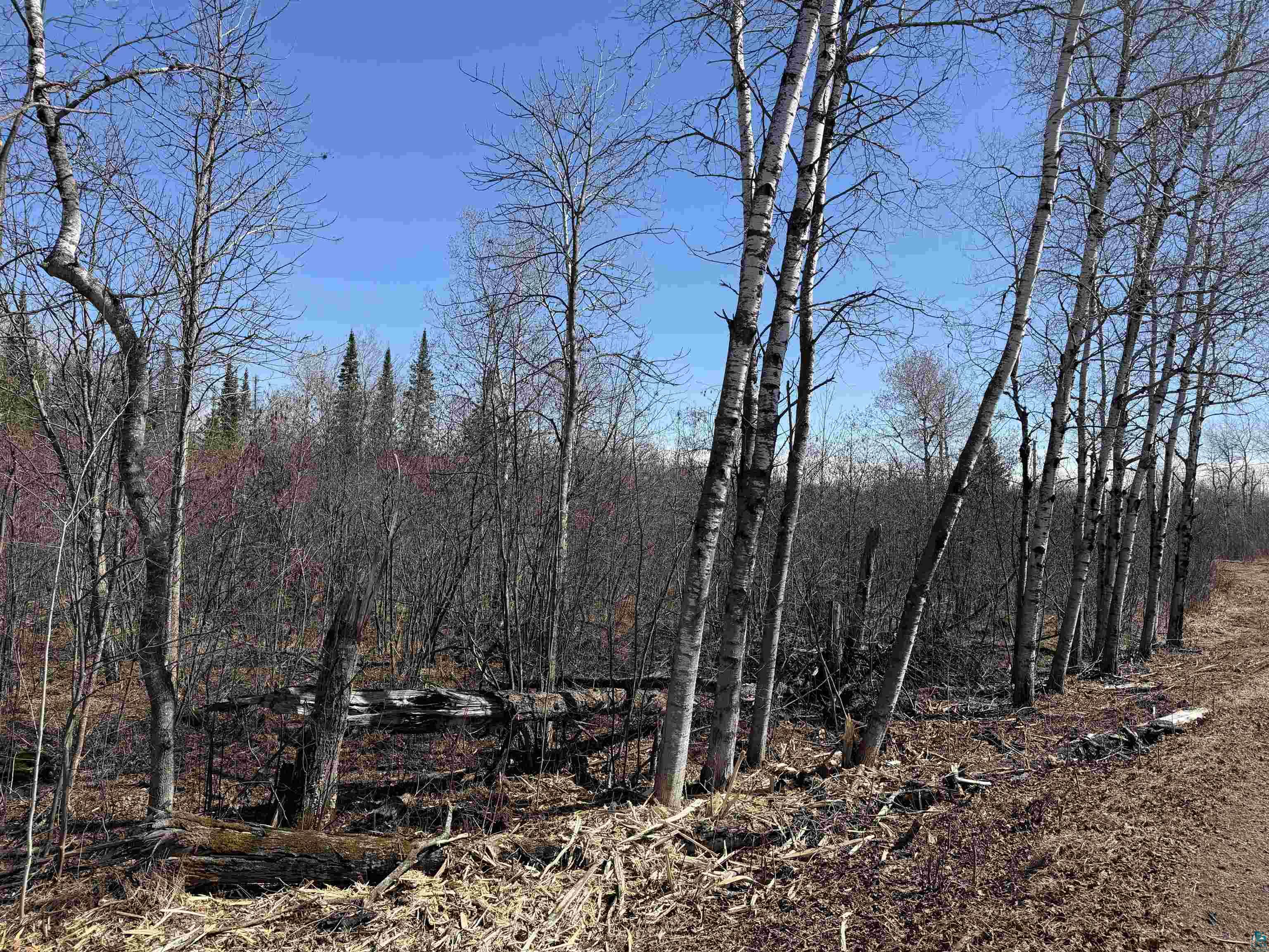 51-xx Samuelson Road Duluth, MN 55811 - Photo 2 of 4