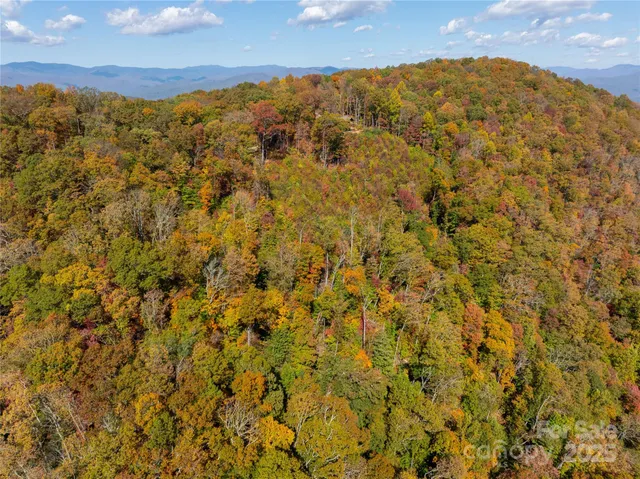 a view of a house with a mountain and a forest