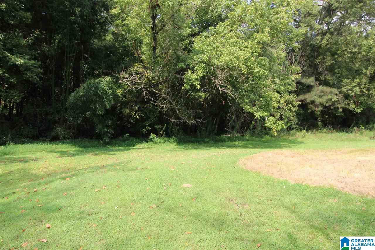 243 Main Street Hayden, AL 35079 - Photo 18 of 20