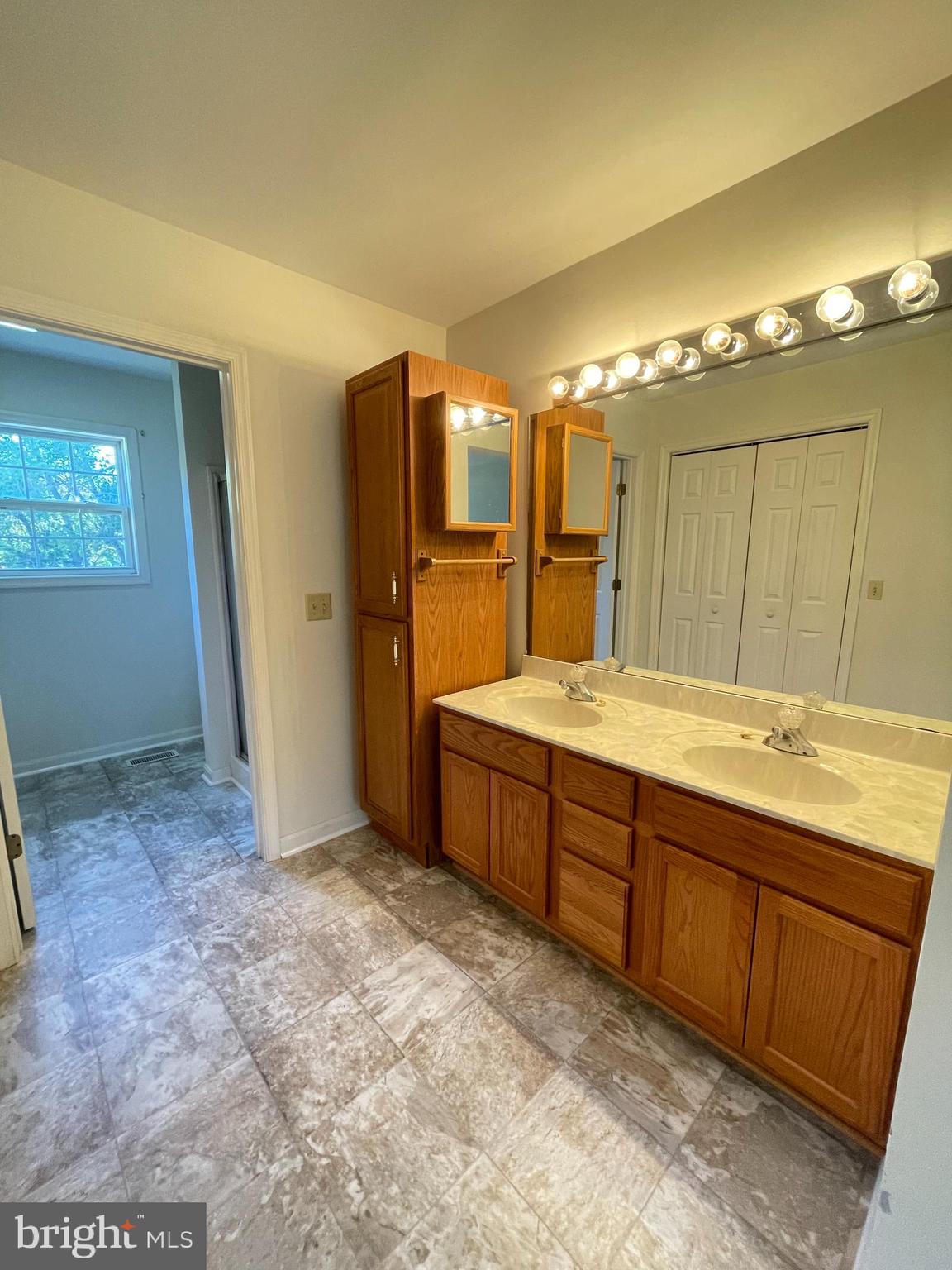 10197 Madison Drive King George, VA 22485 - Photo 12 of 19 a bathroom with a sink and a large mirror
