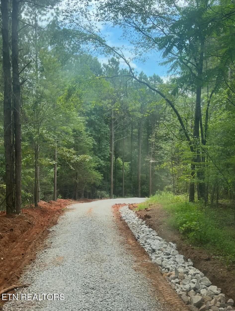 2421 Wasson Road Ten Mile, TN 37880 - Photo 16 of 25 att.w2vlGLufjVo8Z8K0P8Ki_srotSNVyL95EV-2