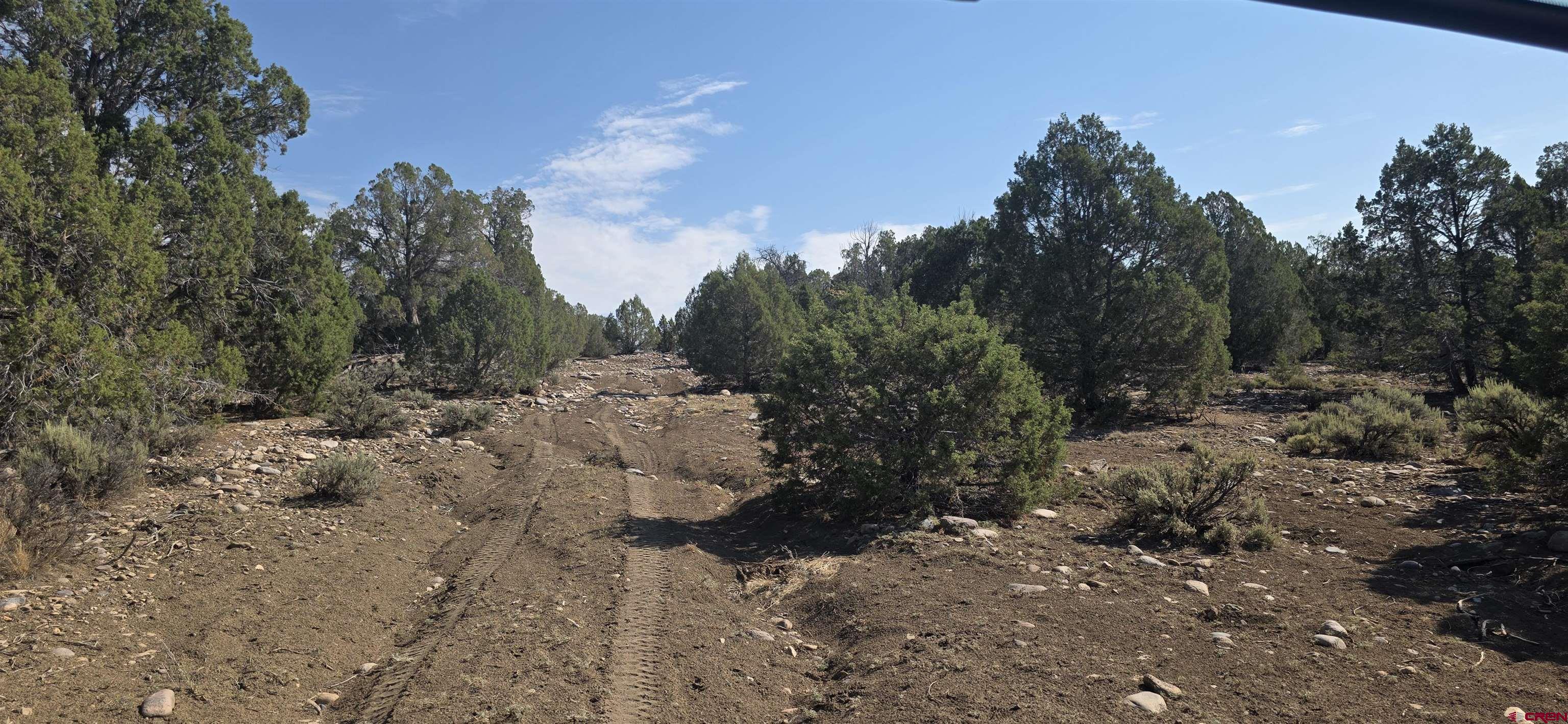 310 Ignacio Co 81137 Ignacio, CO 81137 - Photo 20 of 25