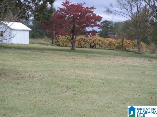 1024 Highway 12 Oneonta Al Oneonta, AL 35121 - Photo 7 of 14